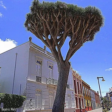 Apartamento Ossuna La Laguna  Exterior photo